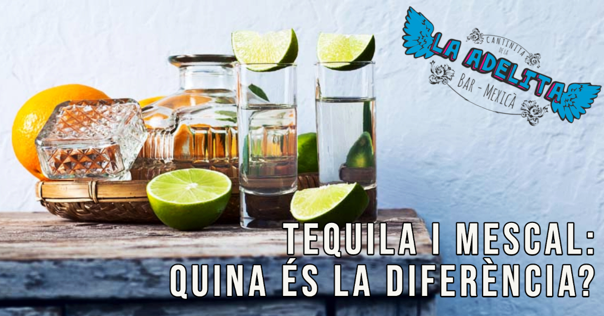 Diferències que has de conèixer entre el tequila i el mescal